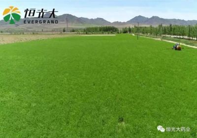 不忘初心，砥礪前行，我們一直在路上！
